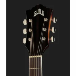 Guild F-250E Deluxe ATB