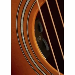 Guild F-250E Deluxe ATB