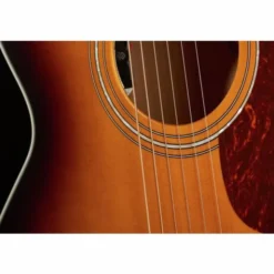 Guild F-250E Deluxe ATB