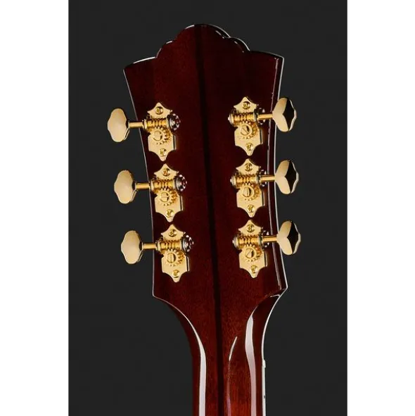 Guild F-55E Nat USA