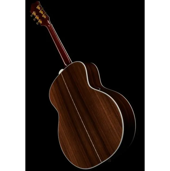 Guild F-55E Nat USA