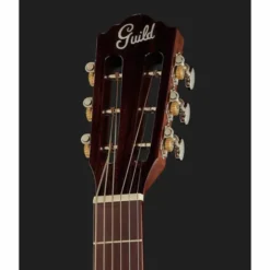 Guild P-240 Memoir Series