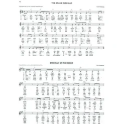 Hal Leonard Celtic Fake Book