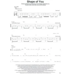 Hal Leonard Looper Pedal Songbook