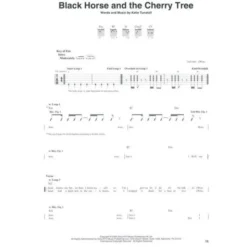Hal Leonard Looper Pedal Songbook