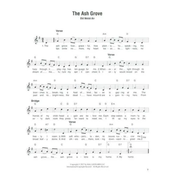 Hal Leonard Strum Together Celtic Songs