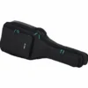 HamarilAcoustic Guitar Set 2
