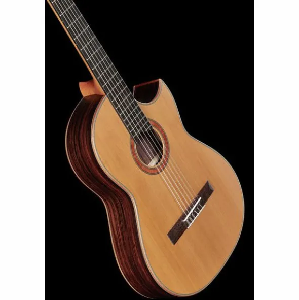 Hanika BasisCut PC + Pickup System