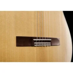 Hanika Flamenco KF