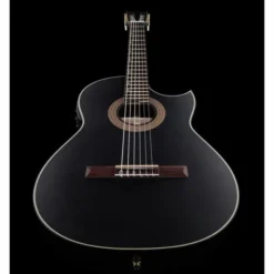 Hanika Thomann Custom BK