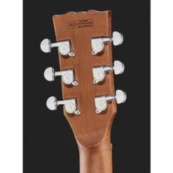 Harley Benton Aeolus Frost Flame w/Bag
