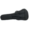 Harley Benton B-35BK-FL Acoustic Bass w/Bag
