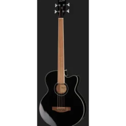 Harley Benton B-30BK-FL Acoustic Bass Bundle