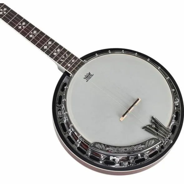 Harley Benton BJ-55Pro 5 String Banjo