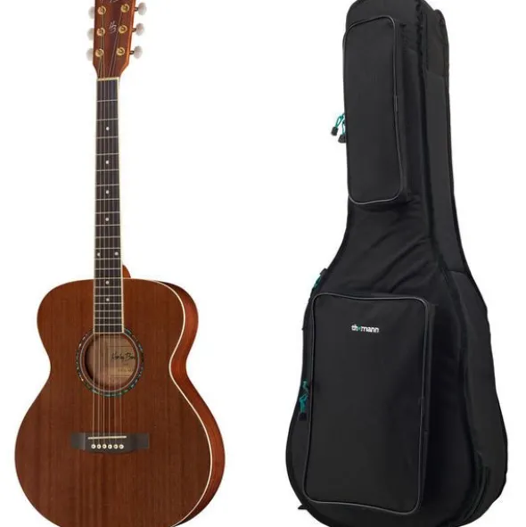 Harley Benton Blues Guitar w/Bag