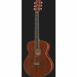 Harley Benton Blues Guitar w/Bag