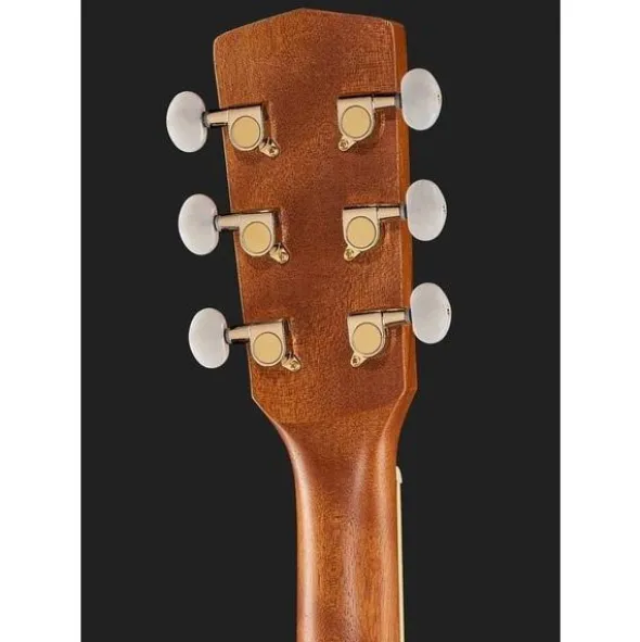 Harley Benton Blues Guitar w/Bag
