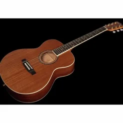 Harley Benton Blues Guitar w/Bag