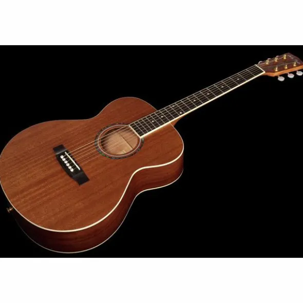 Harley Benton Blues Guitar w/Bag