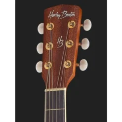 Harley Benton Blues Guitar w/Bag