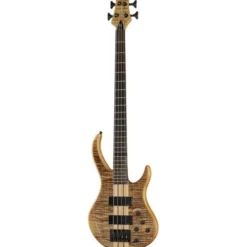 Harley Benton BZ-4000 II NT