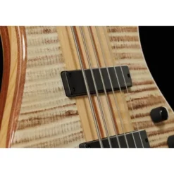 Harley Benton BZ-6000 II NT