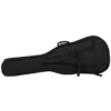 Harley Benton BZ-4000 II NT w/Bag