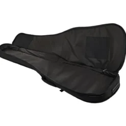 Harley Benton BZ-4000 II NT w/Bag