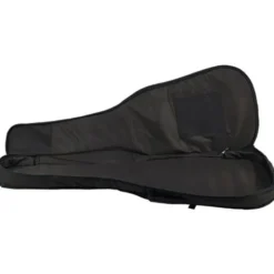 Harley Benton BZ-4000 II NT w/Bag