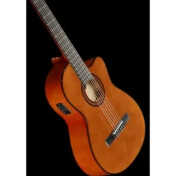 Harley Benton CG300CE NT