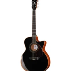 Harley Benton CLG-650SM-CE BK SolidWood