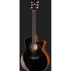 Harley Benton CLG-650SM-CE BK SolidWood