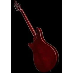 Harley Benton CST-24HB Tortoise Flame
