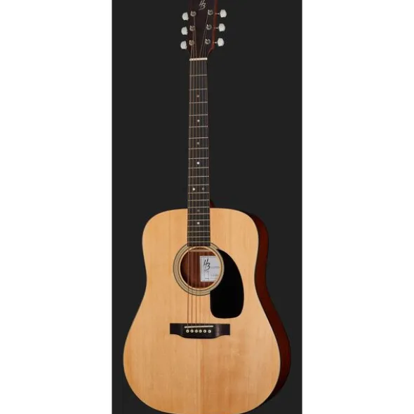 Harley Benton Custom Line CLD-16S Bundle
