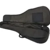 Harley Benton Custom Line CLD-41SE WN w/Bag