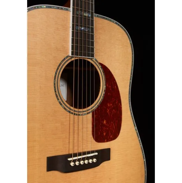 Harley Benton Custom Line CLD-41S WN W/Case