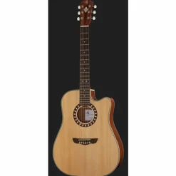 Harley Benton Custom Line CLD-1048SCE NS