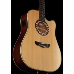 Harley Benton Custom Line CLD-1048SCE NS