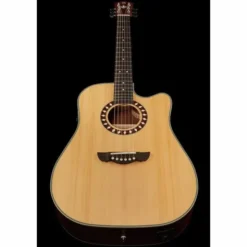 Harley Benton Custom Line CLD-1048SCE NS