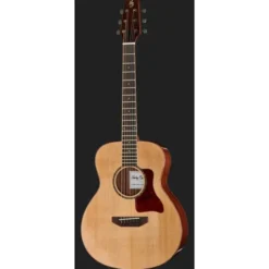 Harley Benton Custom Line CLGS-10S Bundle
