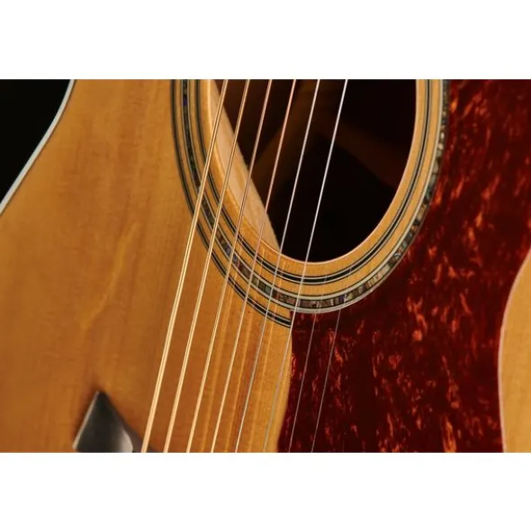 Harley Benton Custom Line CLG-48CE Wi Bundle