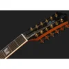 Harley Benton Custom Line CLJ-412E LH SB