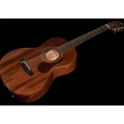 Harley Benton Custom Line CLP-15ME w/Bag