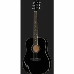 Harley Benton D-120BK