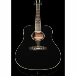 Harley Benton D-120BK