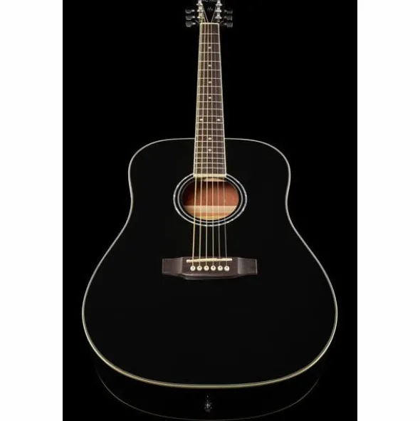 Harley Benton D-120BK