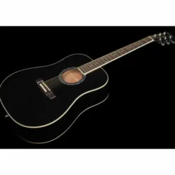 Harley Benton D-120BK