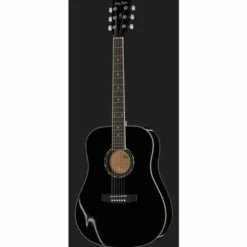 Harley Benton D120BK Bundle