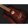 Harley Benton Delta Blues T