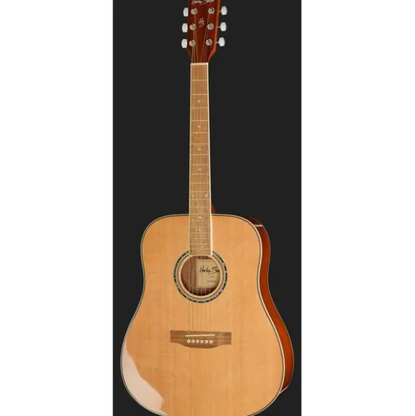 Harley Benton D-120NT Bundle